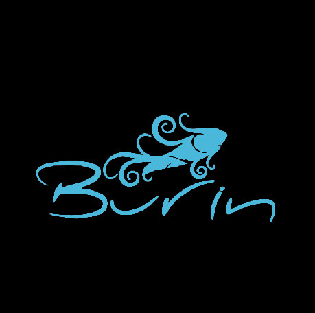 Burin Logo